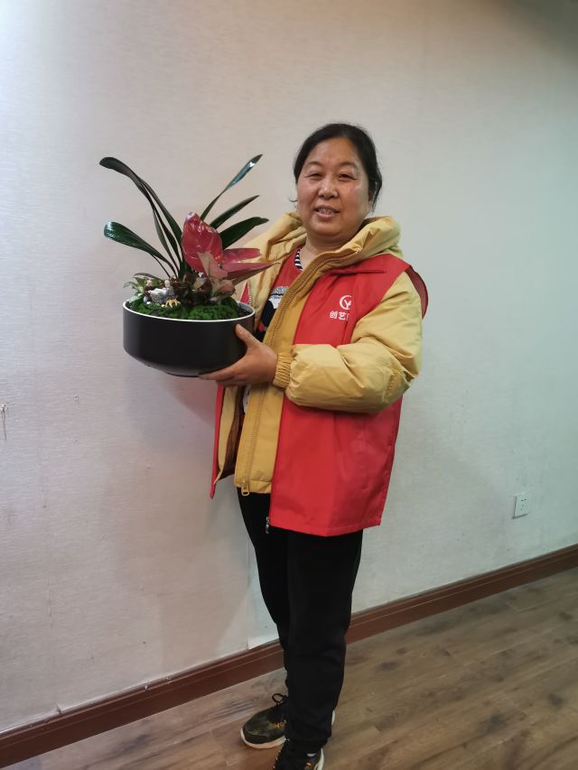 個(gè)性花卉產(chǎn)品租賃_個(gè)性花卉產(chǎn)品批發(fā)零售_高端組景組盆花卉專業(yè)租貨_長(zhǎng)沙市創(chuàng)藝園林花卉有限公司